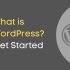 Must Have WordPress Plugins For Every New WordPress Website